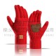 2025 Amazon New Winter Outdoor Riding Plus Warm Ladies Knitted Gloves Palm Plus Leather Non-slip Gloves